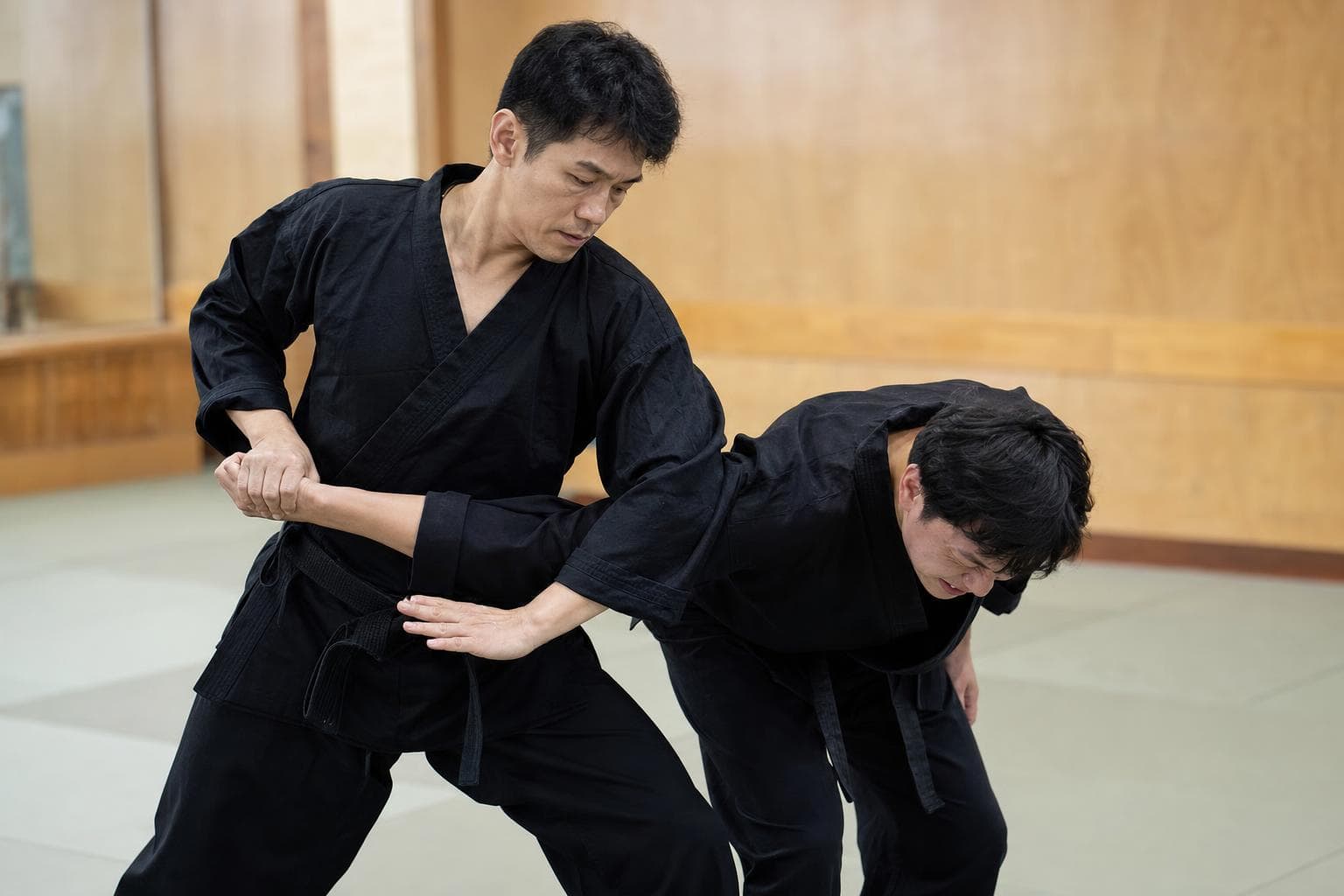 Hapkido — The Way of Coordinated Power